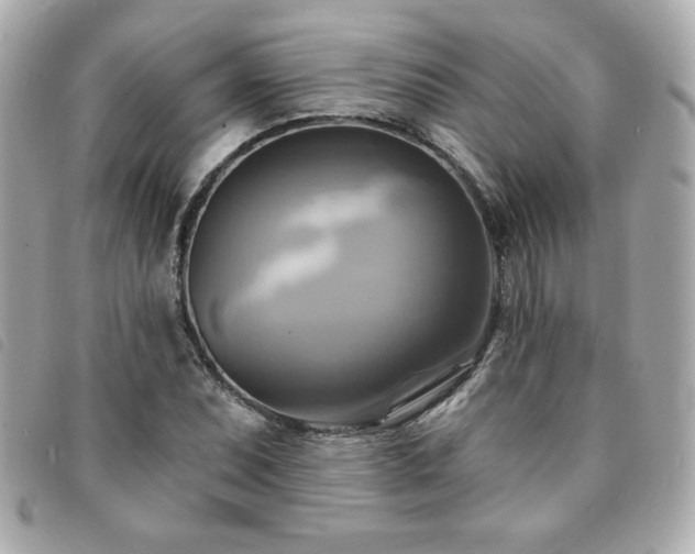 X0000094211071200710261206