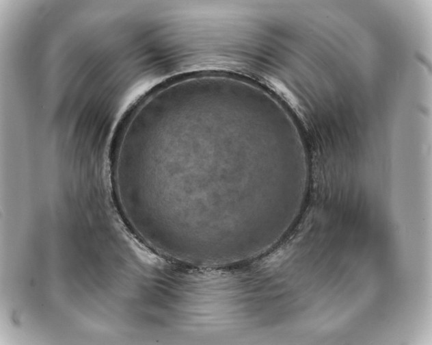 X0000094211072200710261206