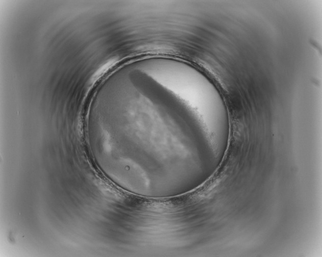 X0000094211074200710261206