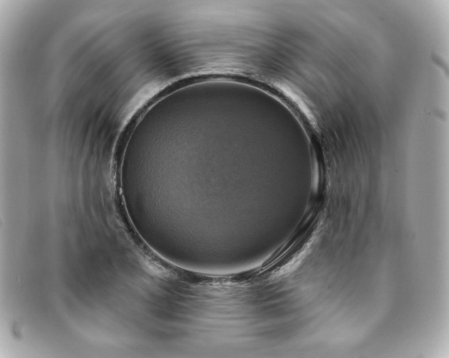 X0000094211077200710261206