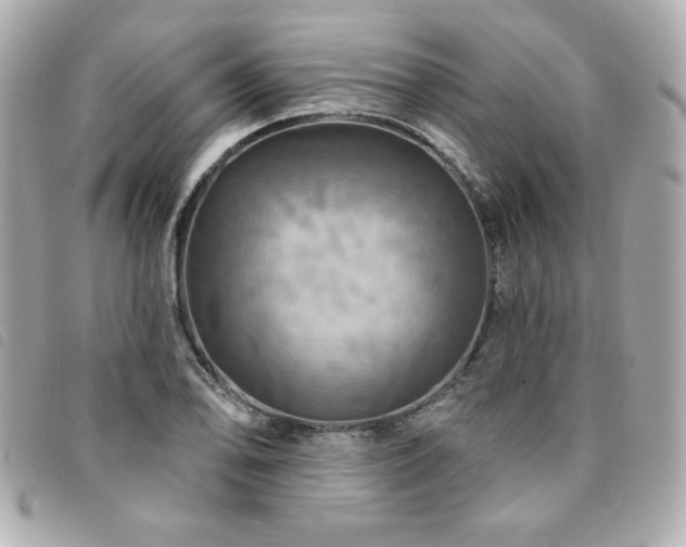 X0000094211078200710261206