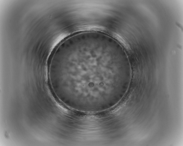 X0000094211079200710261206