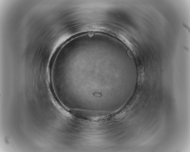 X0000094211080200710261206