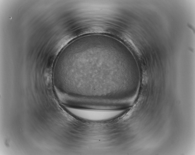 X0000094211081200710261206