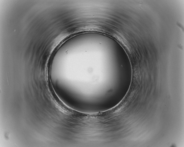 X0000094211082200710261206