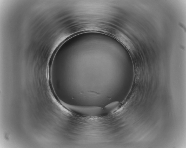 X0000094211084200710261206