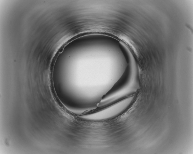 X0000094211085200710261206