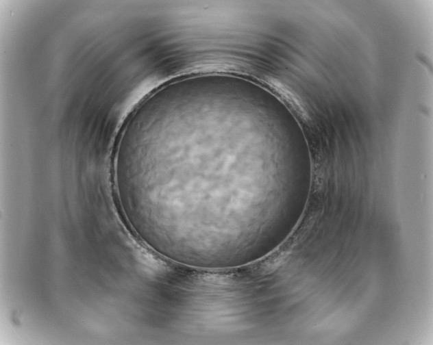 X0000094211086200710261206