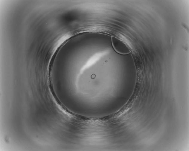 X0000094211087200710261206