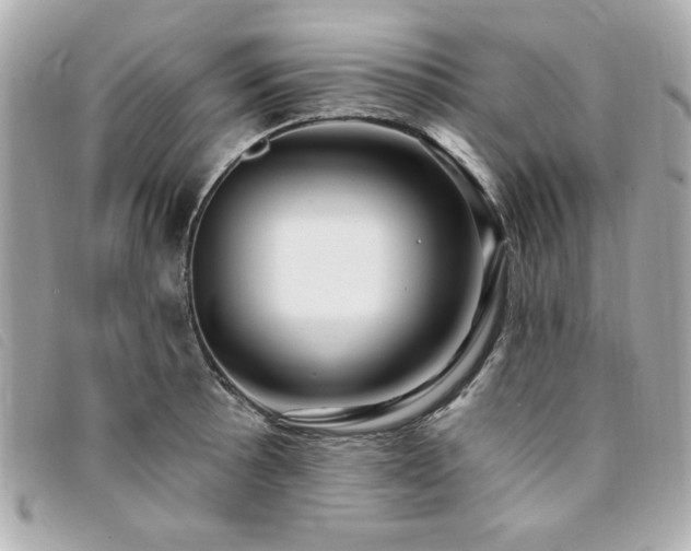 X0000094211089200710261206
