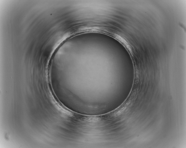 X0000094211090200710261206