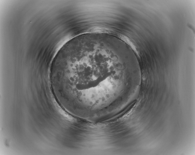 X0000094211091200710261206