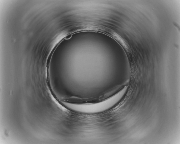 X0000094211095200710261206