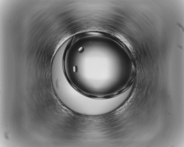X0000094211097200710261206