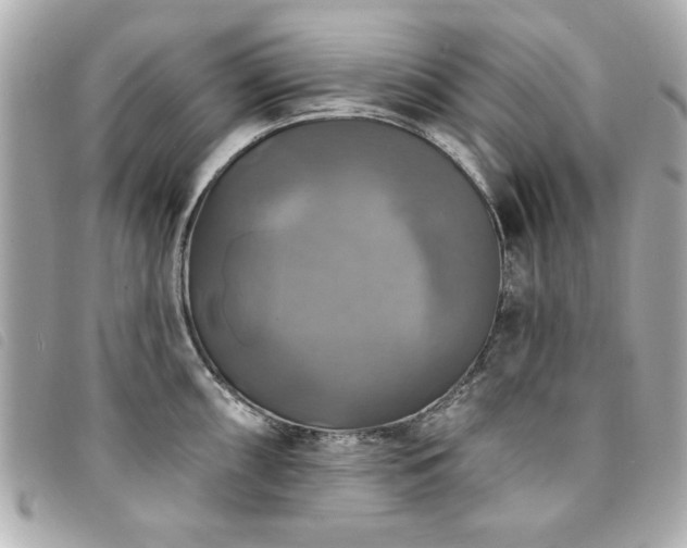 X0000094211098200710261206