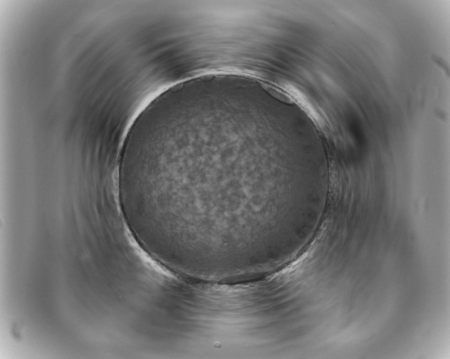 X0000094211100200710261206