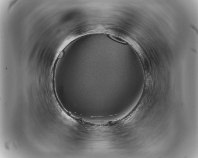 X0000094211102200710261206
