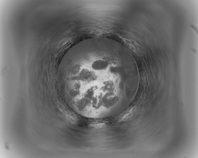 X0000094211105200710261205