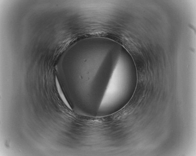 X0000094211106200710261205
