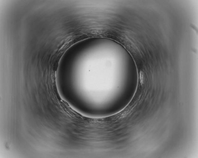 X0000094211107200710261205