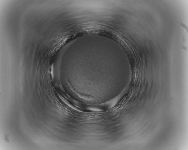 X0000094211108200710261205