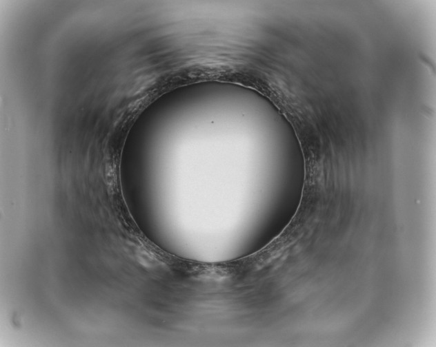 X0000094211109200710261205