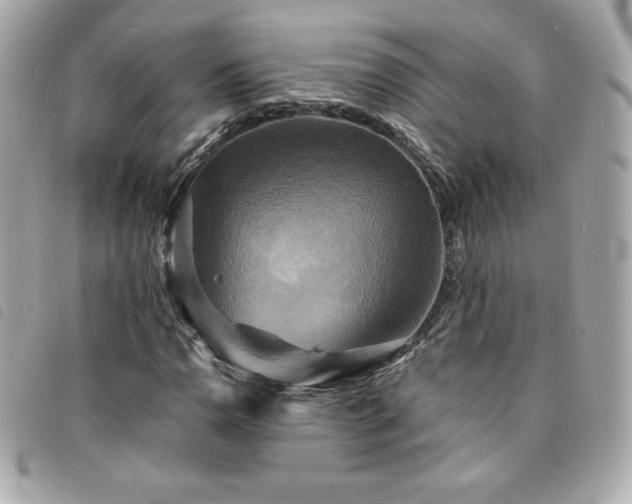 X0000094211110200710261205