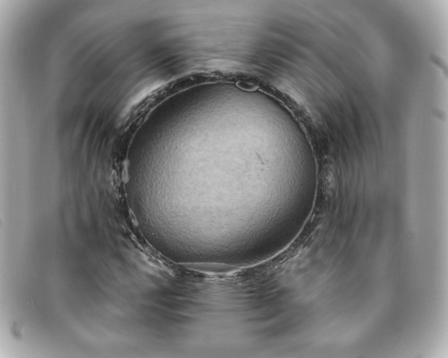 X0000094211112200710261205