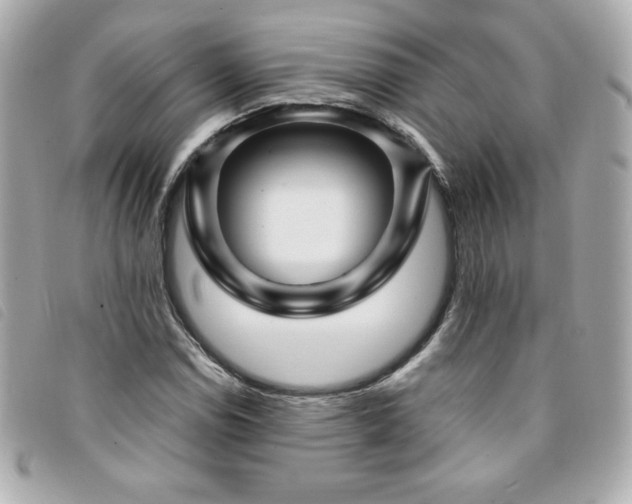 X0000094211114200710261205