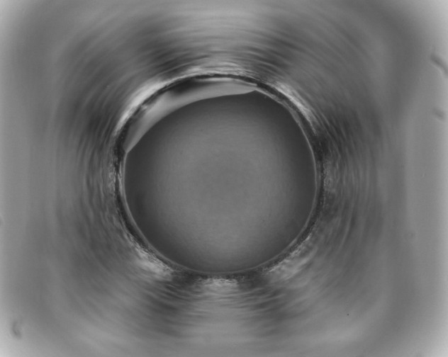 X0000094211115200710261205