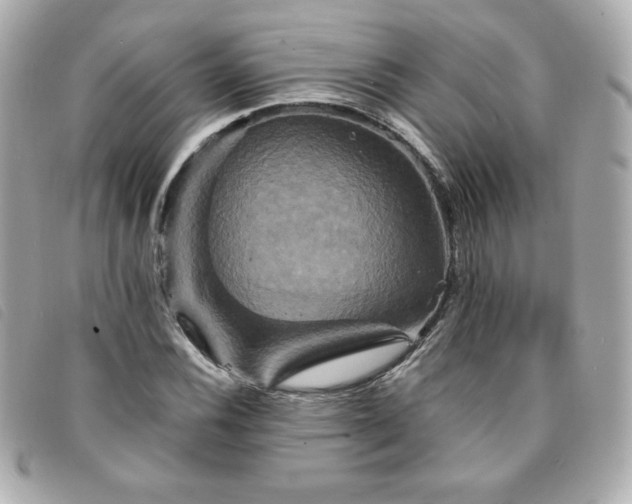 X0000094211116200710261205