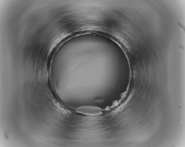 X0000094211117200710261205