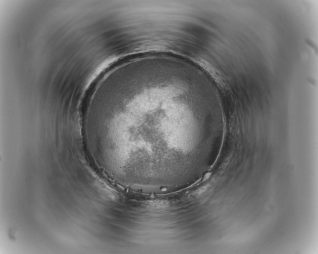 X0000094211118200710261205