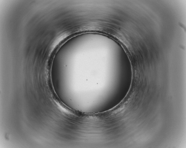 X0000094211119200710261205