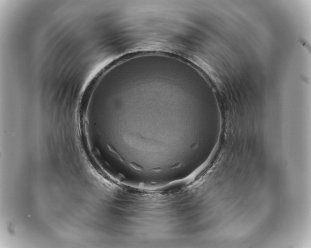 X0000094211120200710261205