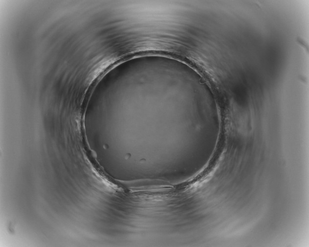 X0000094211121200710261205