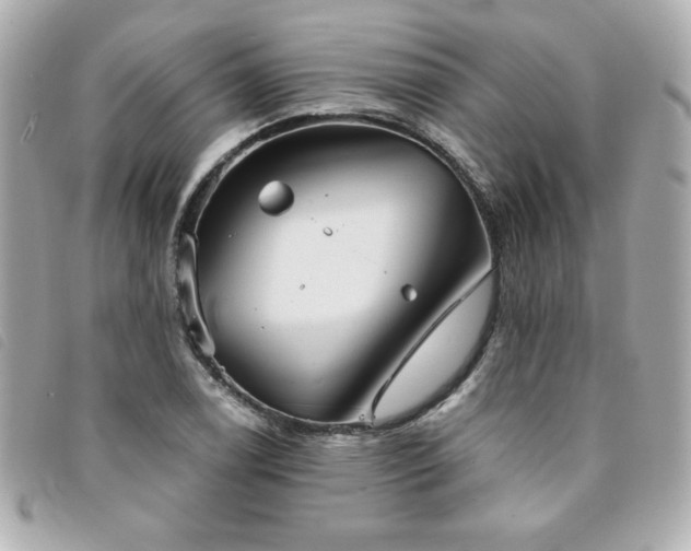 X0000094211122200710261205