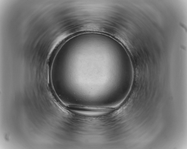 X0000094211123200710261205