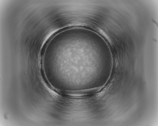 X0000094211124200710261205