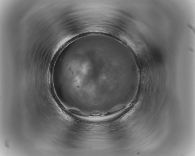 X0000094211125200710261205