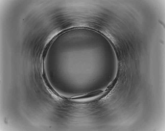 X0000094211127200710261205