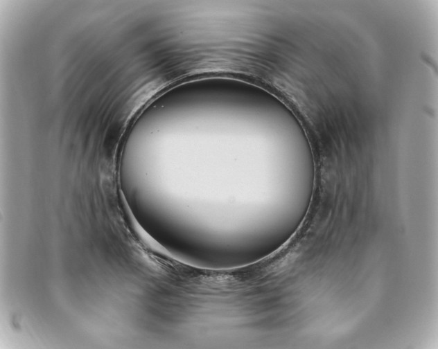 X0000094211129200710261205