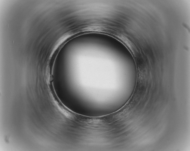 X0000094211131200710261205