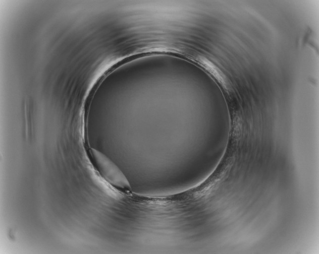 X0000094211132200710261205