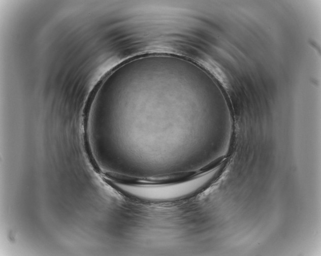 X0000094211133200710261205