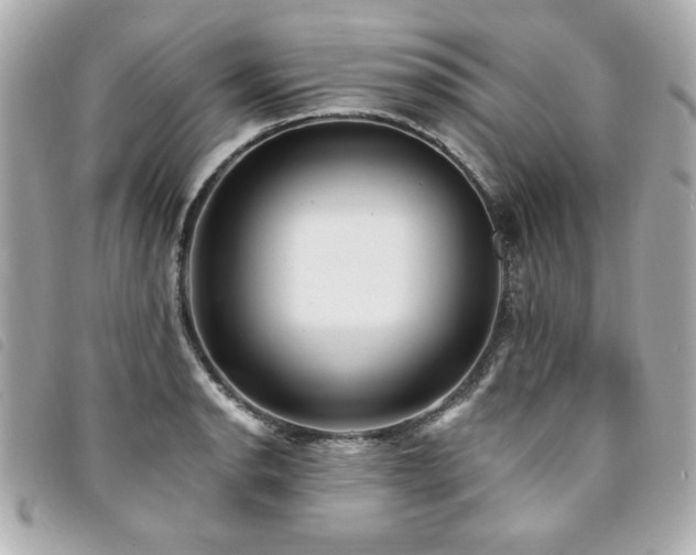 X0000094211134200710261205