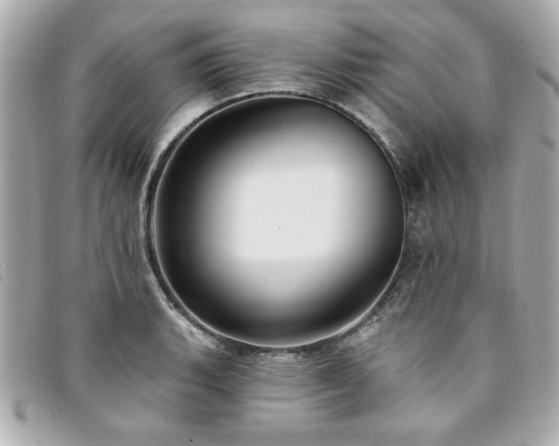 X0000094211135200710261205
