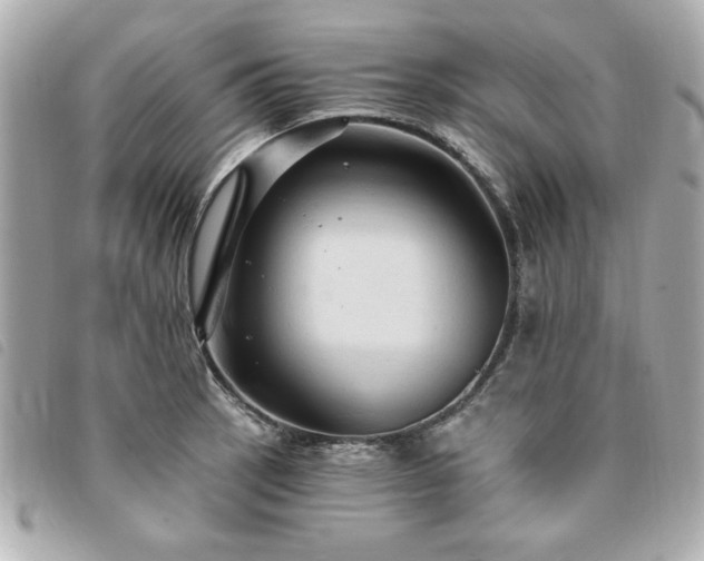X0000094211137200710261205