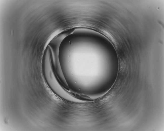 X0000094211138200710261205