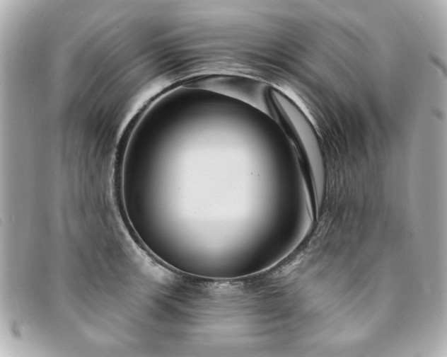 X0000094211139200710261205
